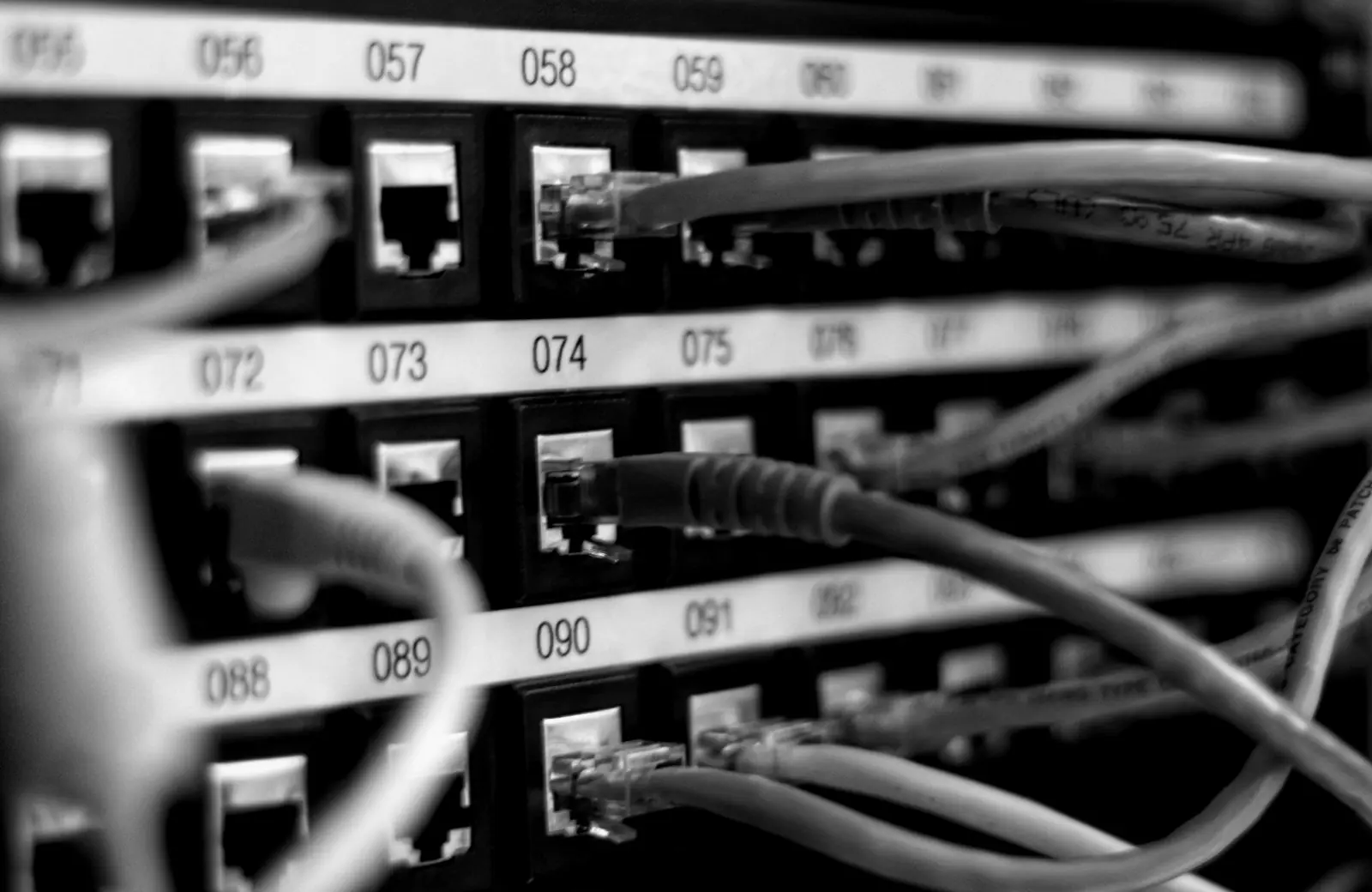 Dense network cabling viewed from above
